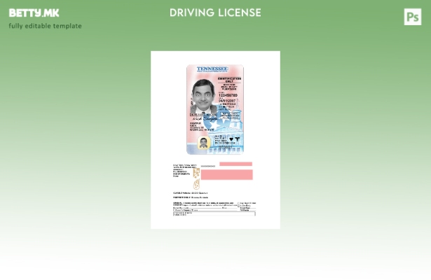 модерен стил САД Тенеси под возачка дозвола присутен шаблон